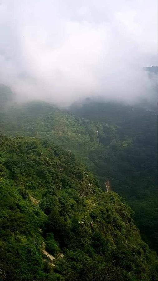 Hôtel A Dogs Story, Mussoorie à Dehradun Extérieur photo